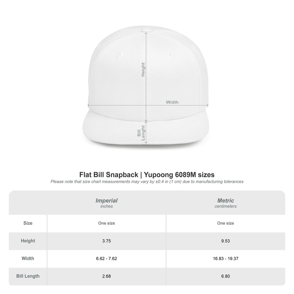 Boricua 787 Flat Bill Snapback Hat — Puerto Rico Flag Streetwear Cap