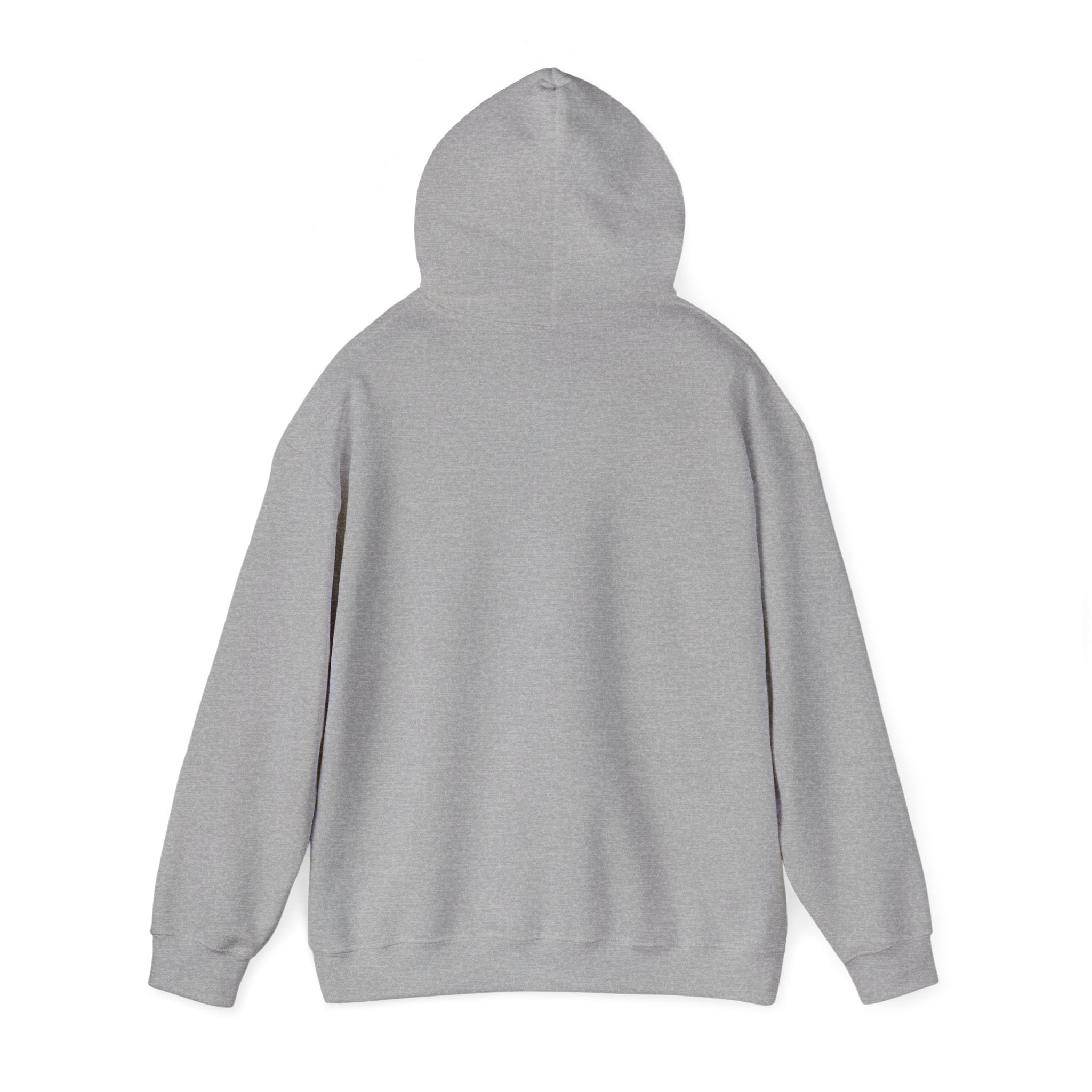Boricua Pa Vida Coqui hoodie|Puerto Rican Pride Streetwear (Front Print)